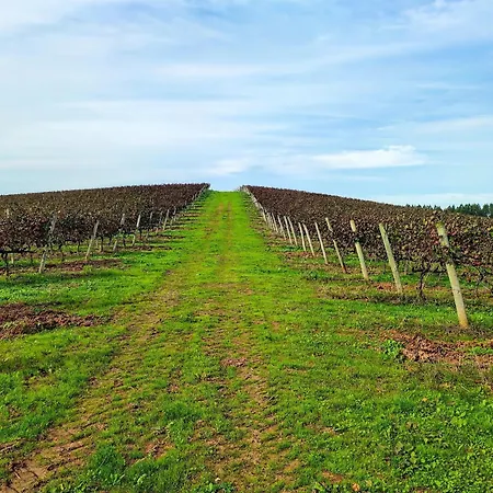 Historic Vineyard Retreat - 1785 Country In Peral Ferienhaus