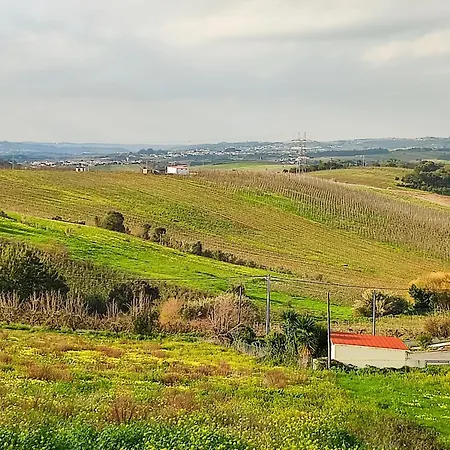 Ferienhaus Historic Vineyard Retreat - 1785 Country In Peral