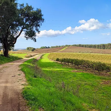 Historic Vineyard Retreat - 1785 Country In Peral Ferienhaus *