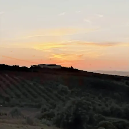 Historic Vineyard Retreat - 1785 Country In Peral Peral (Lisbon)