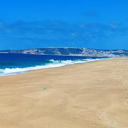 Historic Vineyard Retreat - 1785 Country In Peral Ferienhaus Peral (Lisbon)