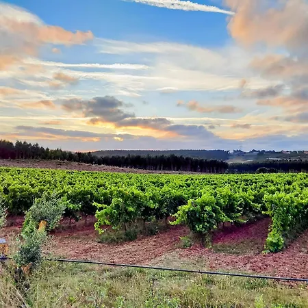 Ferienhaus Historic Vineyard Retreat - 1785 Country In Peral