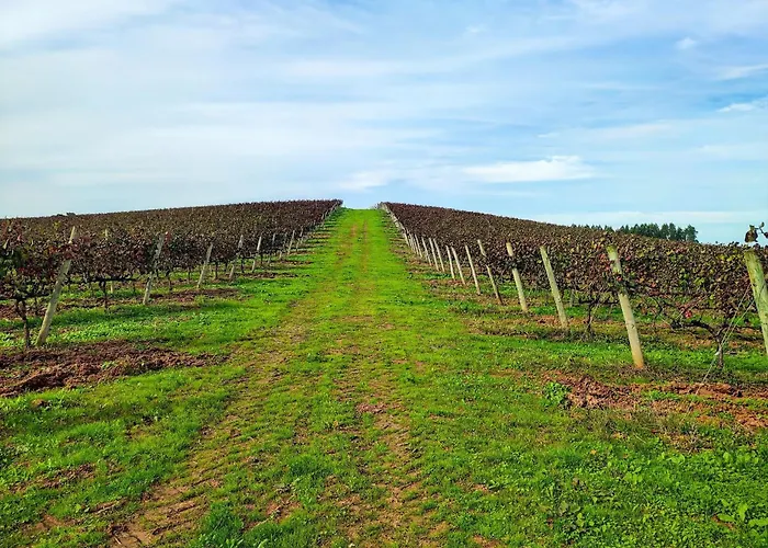 Historic Vineyard Retreat - 1785 Country In Peral Semesterbostad