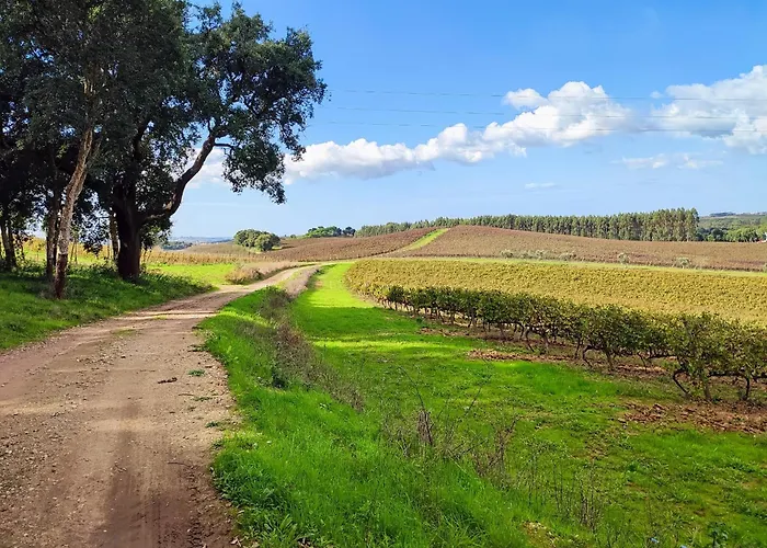 Historic Vineyard Retreat - 1785 Country In Peral Semesterbostad *