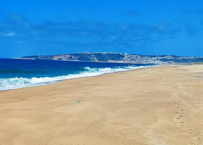 Historic Vineyard Retreat - 1785 Country In Peral Semesterbostad Peral (Lisbon)