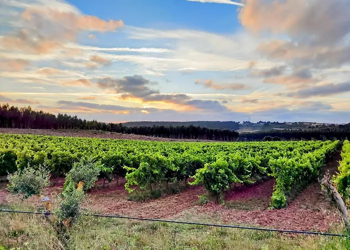 Semesterbostad Historic Vineyard Retreat - 1785 Country In Peral