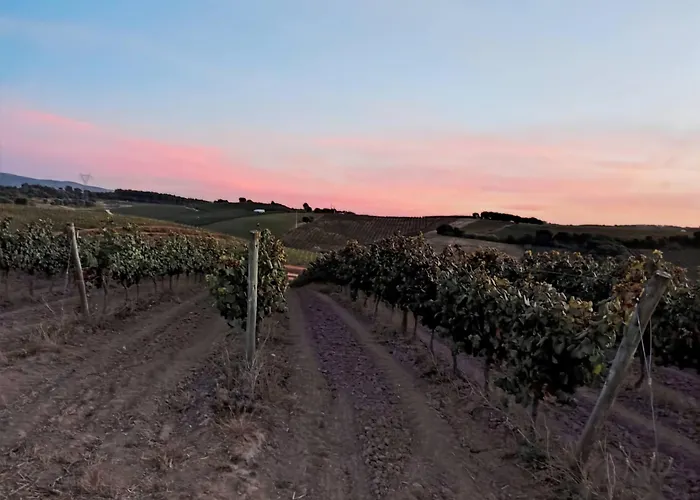 Historic Vineyard Retreat - 1785 Country In Peral *