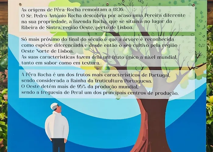 Historic Vineyard Retreat - 1785 Country In Peral *